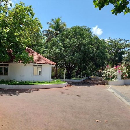 Angels Resort Aradi Socorro エクステリア 写真
